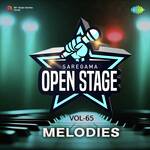 Open Stage Melodies - Vol 65 - Anil Bhanarkar Song Download